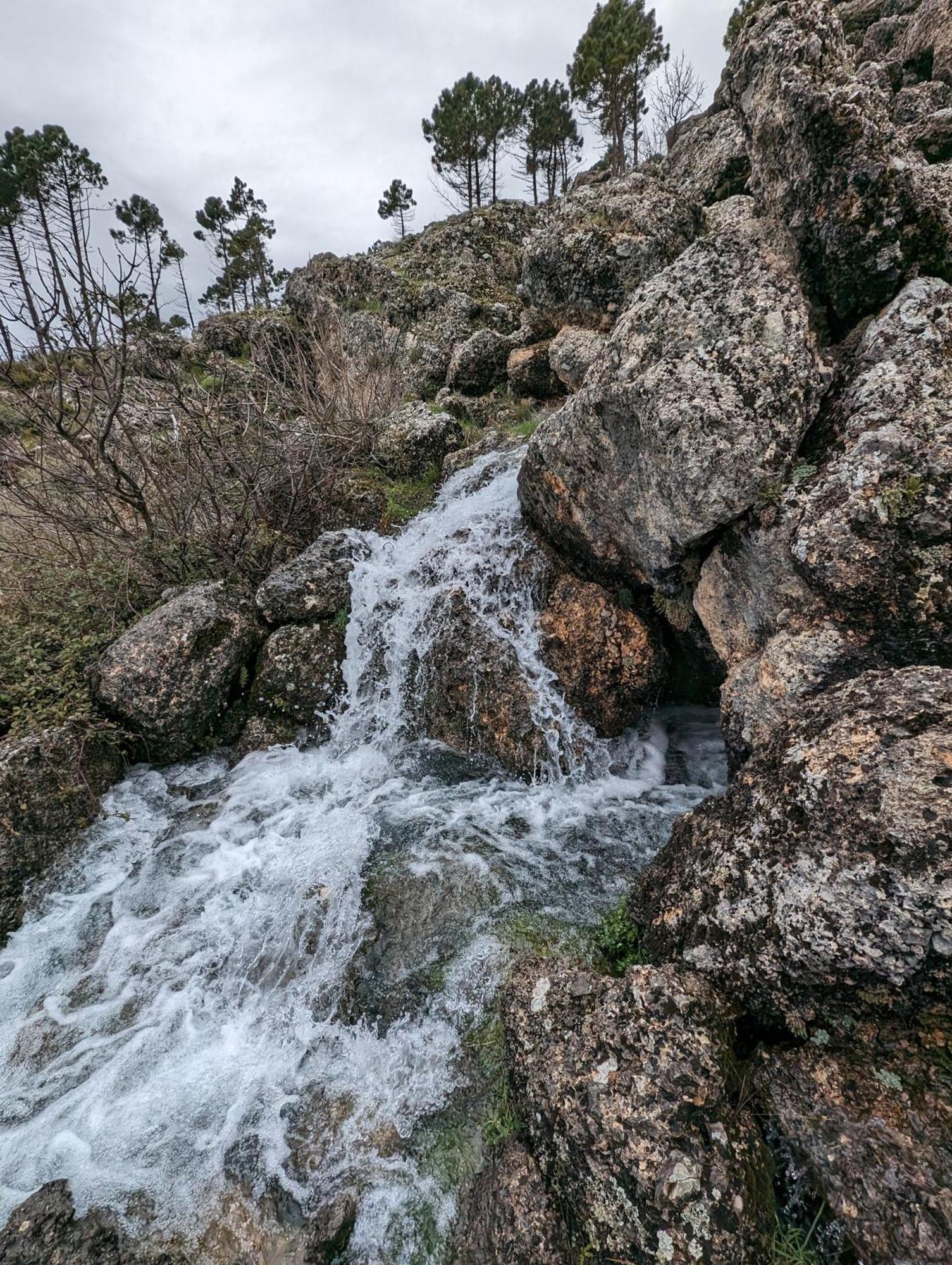 Casas Rurales Cerro Lobo Yeste Eksteriør bilde