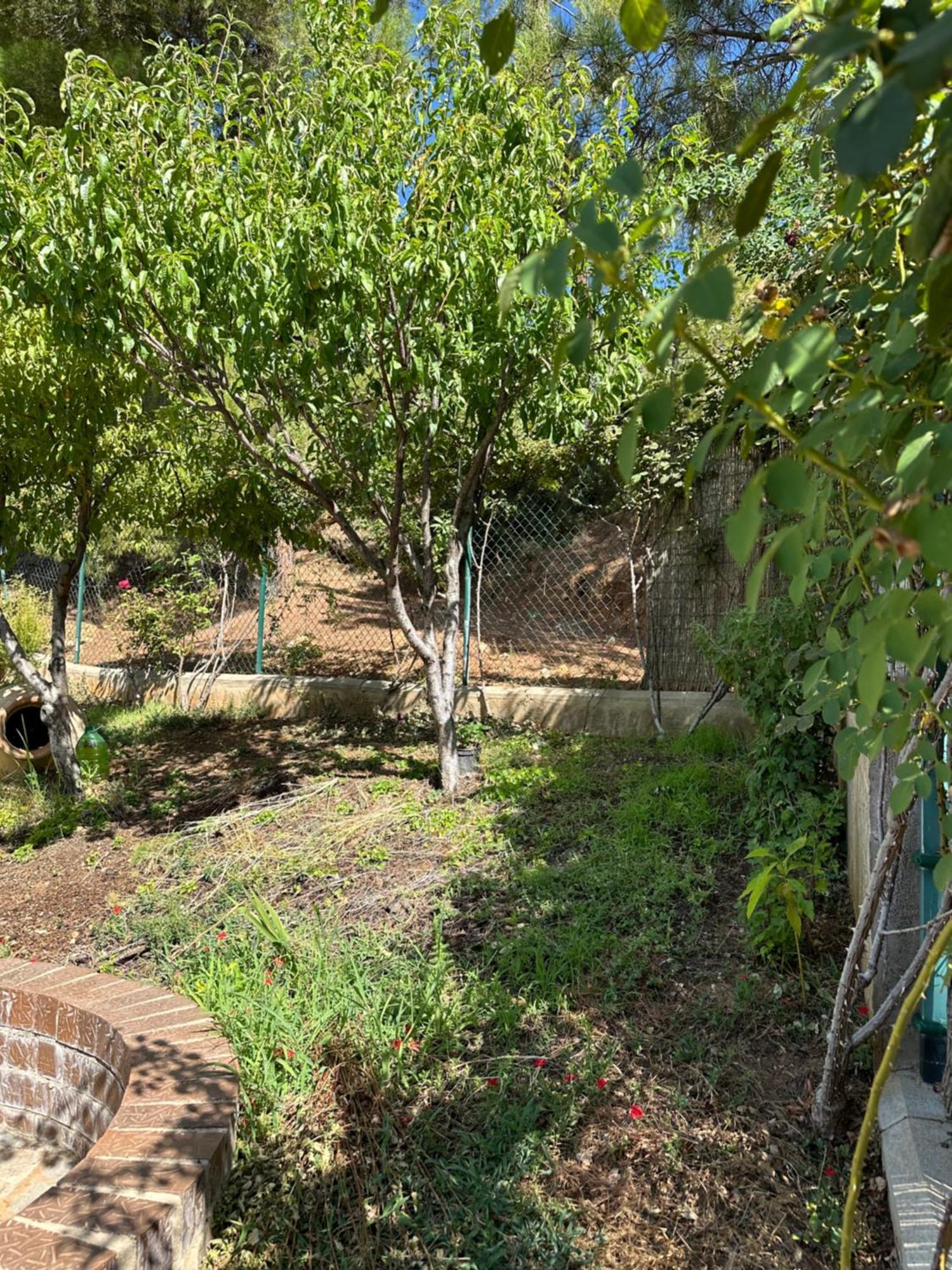 Casas Rurales Cerro Lobo Yeste Eksteriør bilde